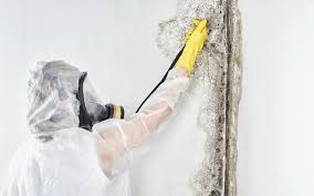 Best Mold Prevention Services  in Lapel, IN